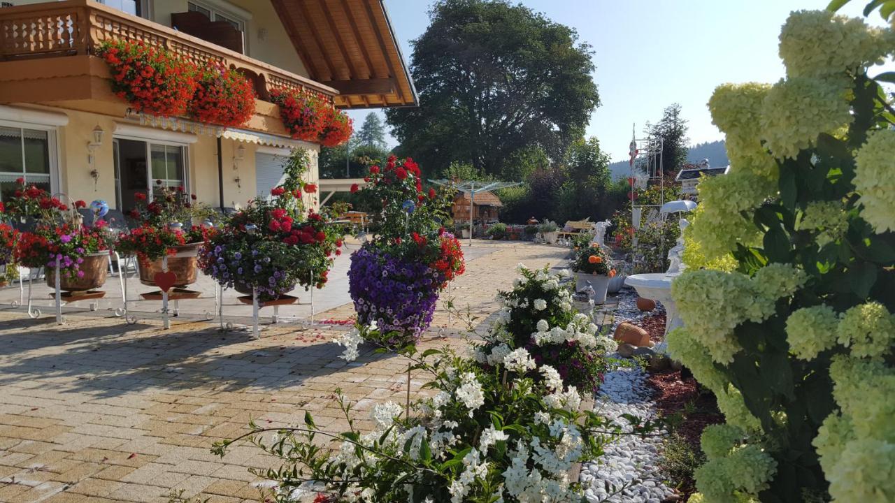 Appartement Rehblick Eisenbach  Exterior photo